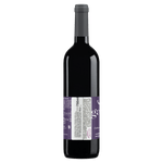 Vinho-Israelense-Gamla-Cabernet-Sauvignon-Tinto-750ml